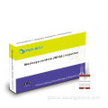 Florfenicol Injection Macleaya cordata injection Diarrhea with dysentery Factory